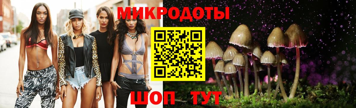 Псилоцибиновые грибы мицелий Таганрог