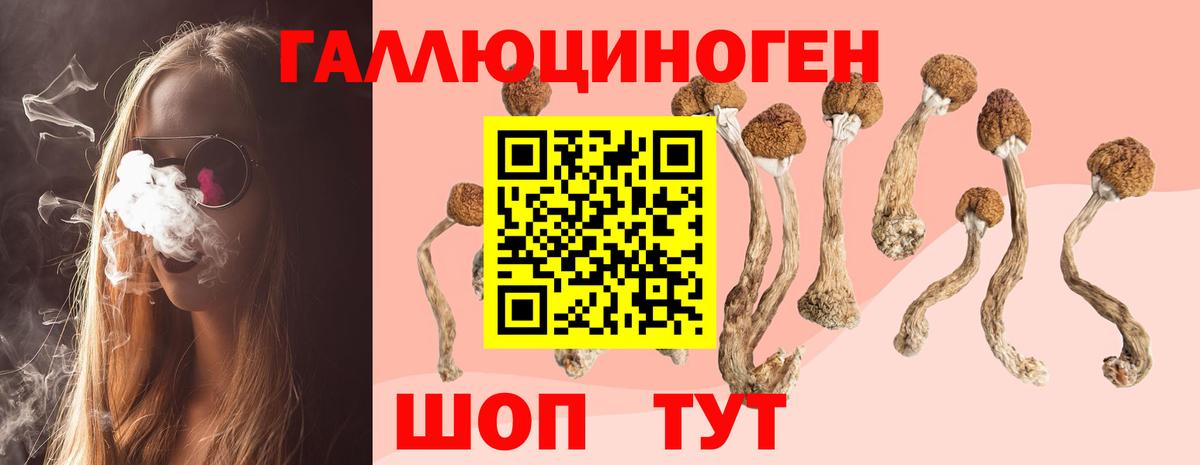 Псилоцибиновые грибы прущие грибы  Вход с VPN  Таганрог 